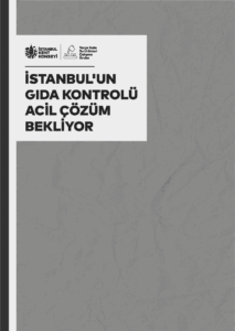 Ekran Resmi 2025 06 28 09.42.52